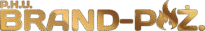 brand poz logo gradient(1)